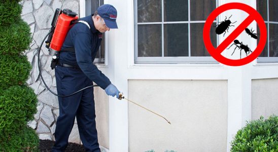 Yahyalı Karınca İlaçlama böcek ilaçlama ve haşere kontrolü — ilaclama-tr.com